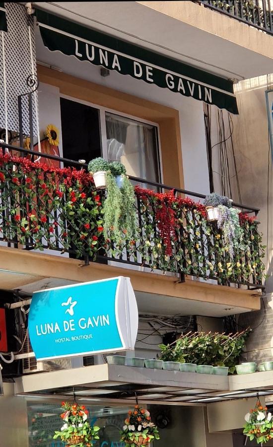 Boutique Luna De Gavin Guest house