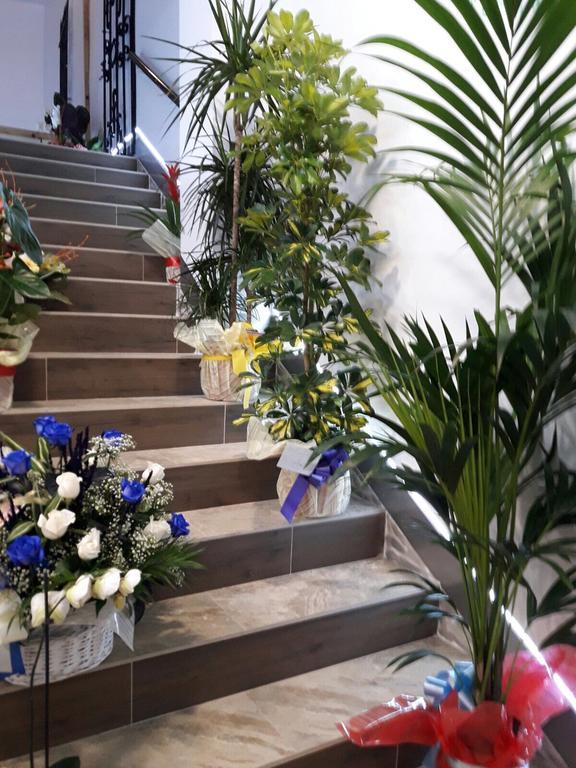 Boutique Luna De Gavin Cullera
