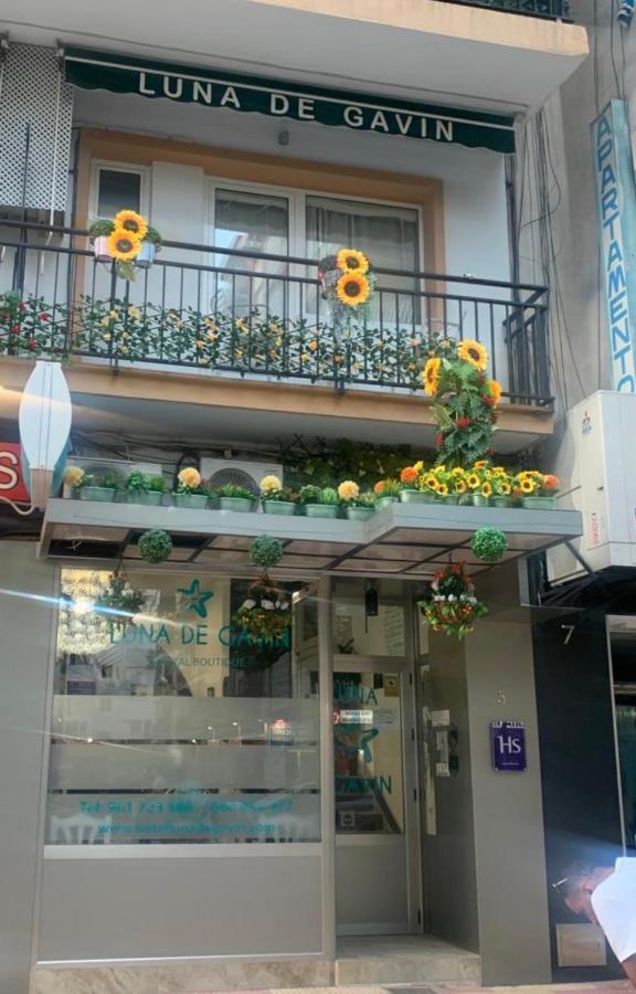 Pensión Boutique Luna De Gavín Cullera