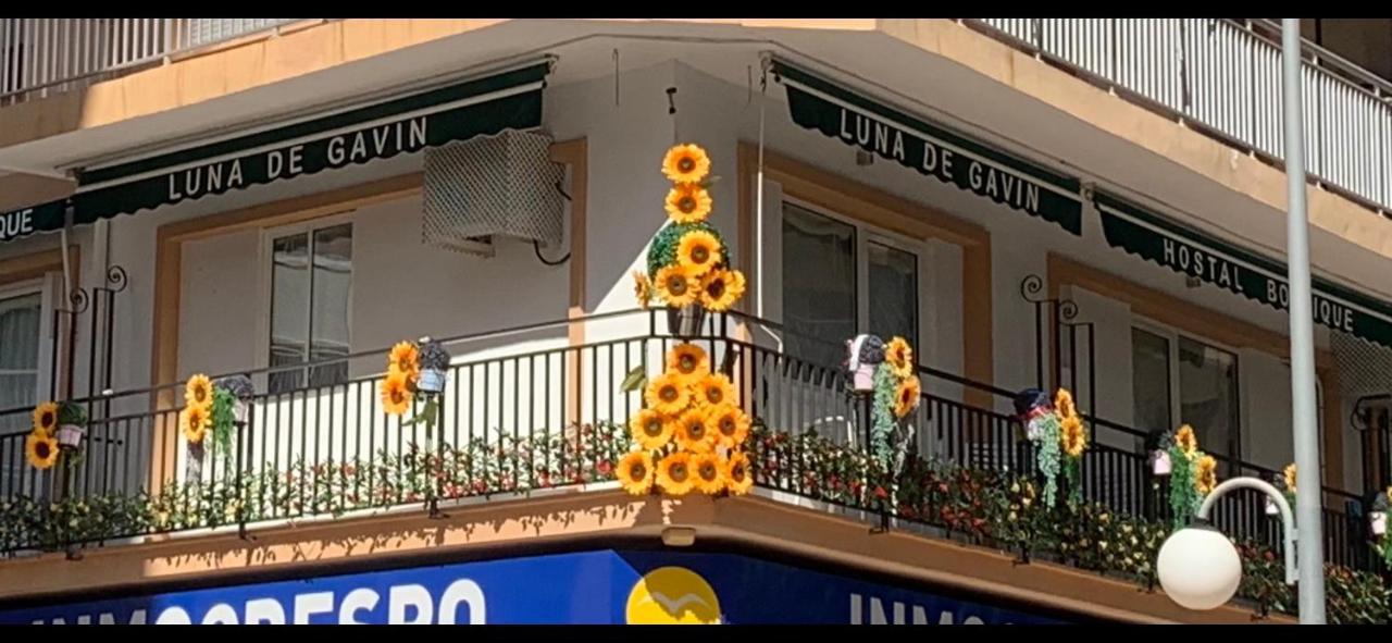 Pensión Boutique Luna De Gavín Cullera